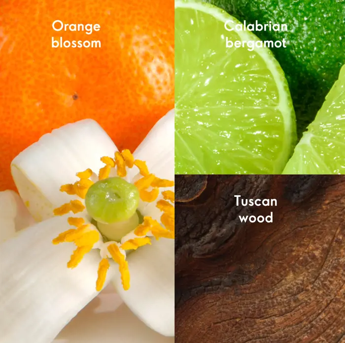 پرفیوم زنانه جوردانی گلد اسنزا 50میلGiordani Gold Essenza Perfume